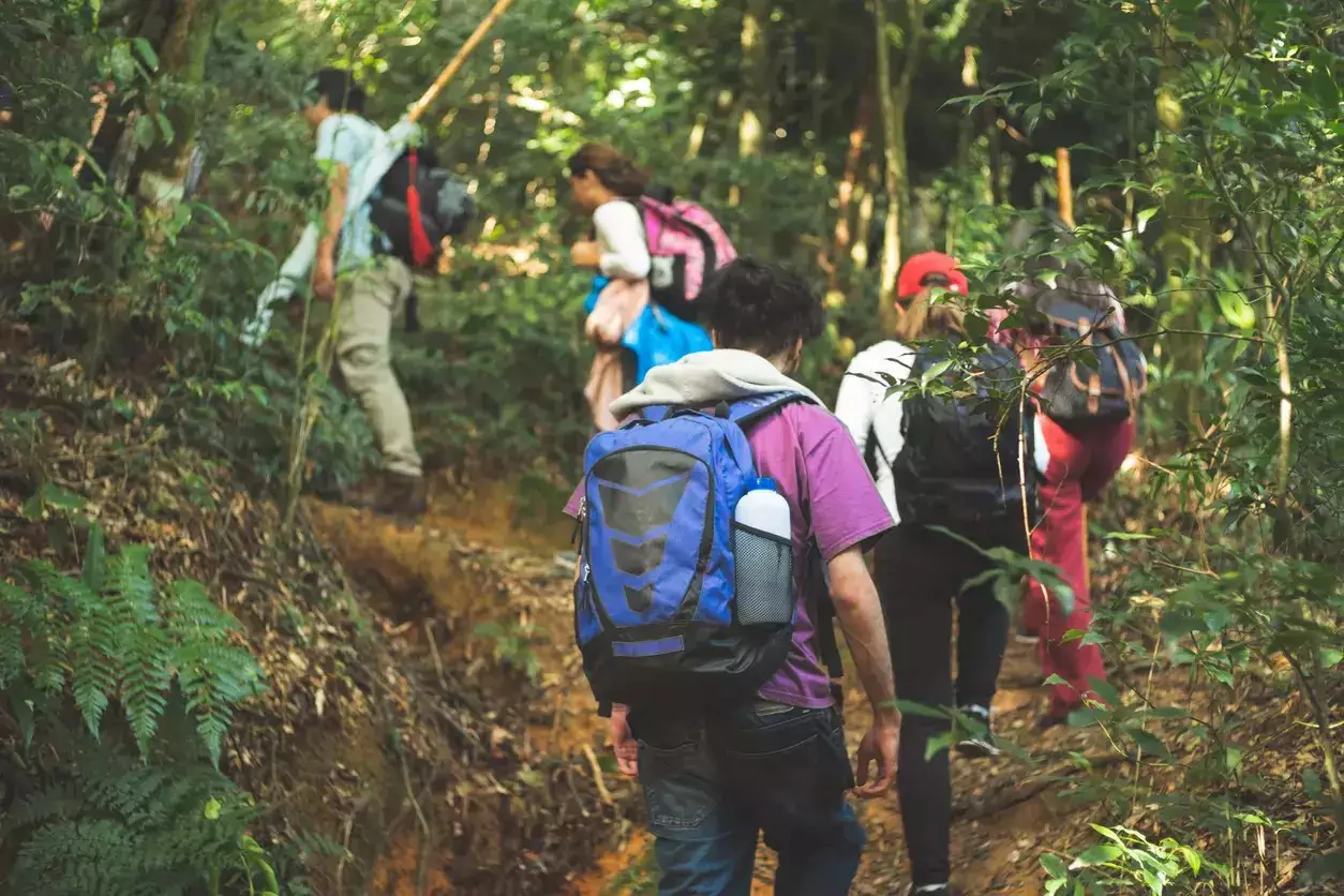 Sustainable Travel: How To Explore Without Leaving A Trace?